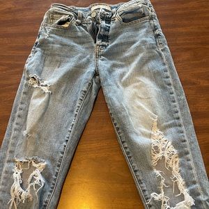 Buckle (Willow and root) high rise angle jeans